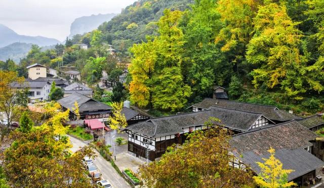 南川金佛山178喊你过年啦！刨猪汤+乡村运动会，快乐值拉满