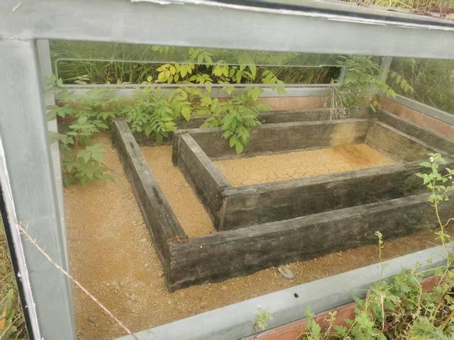 遵义新蒲：中桥水库“官坟”群