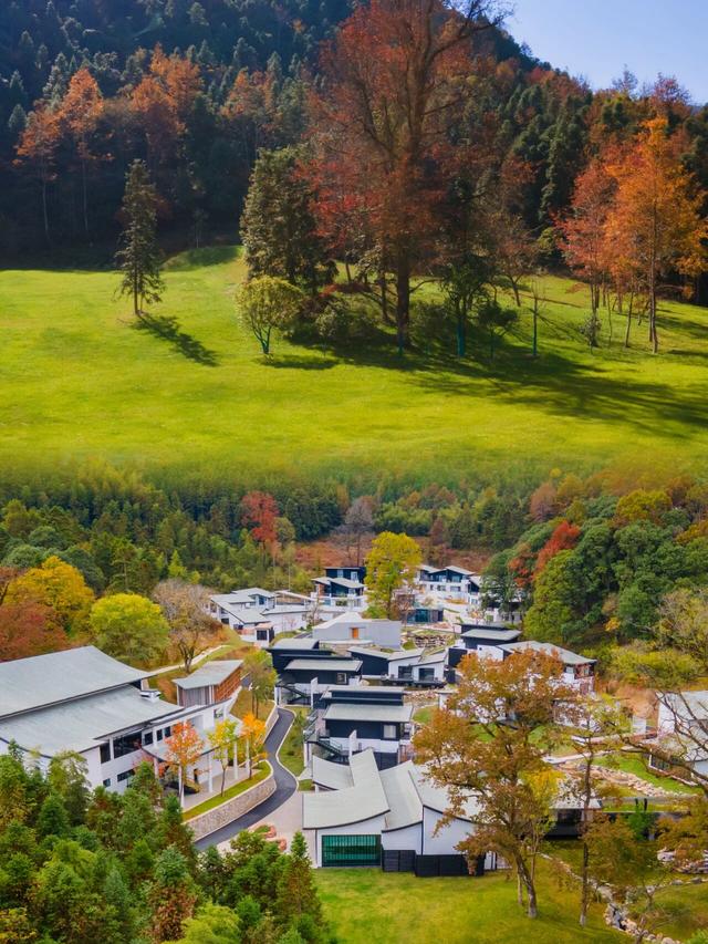 跟着影视去旅行⑤ | 《家业》粉狂喜！在黄山做徽墨、追鱼灯，直接把剧里的千年浪漫拽进现实 | 皖美秋日