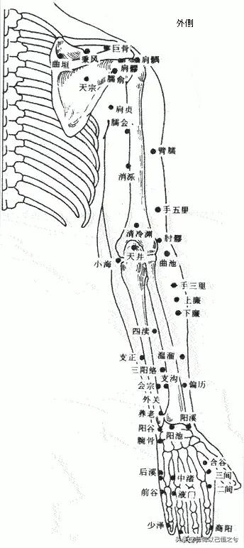 人体-结构-功能-系统