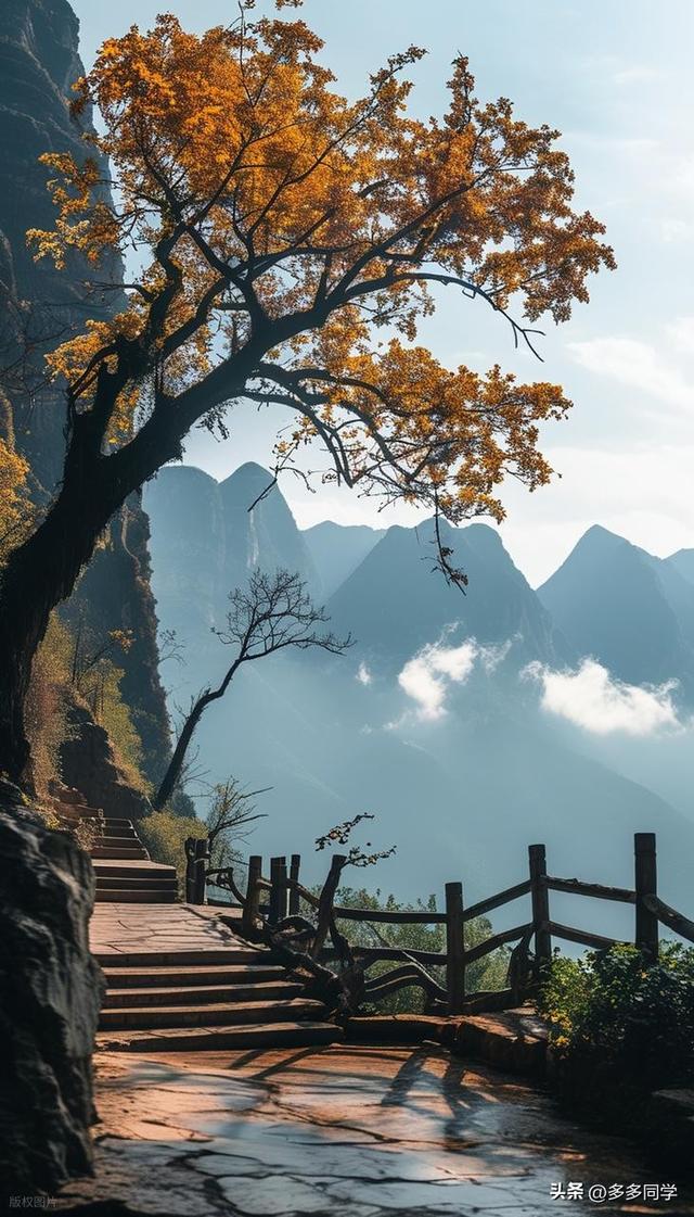 楚雄紫溪山：一棵叫“撑腰”的老树，用六百多年接住了凡人的期待