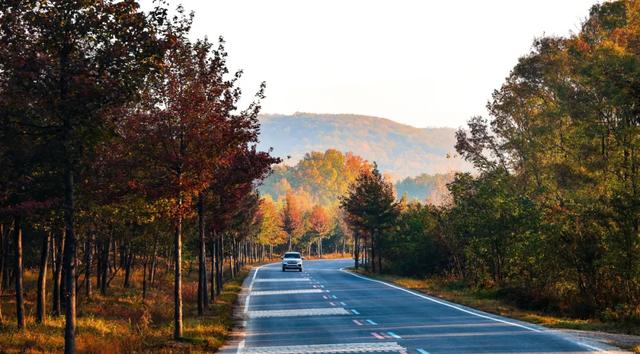 一键收藏!明光南部2025年秋景大赏
