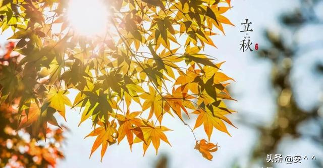 惊！今年立秋“闭眼+脱衣”，60年一遇，秋后天气大不同