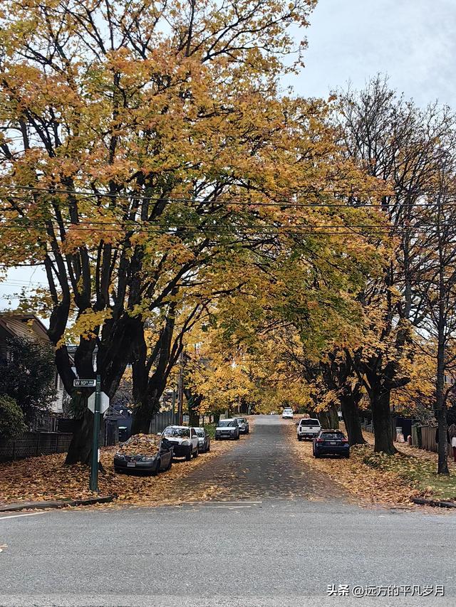 温哥华游记（五）