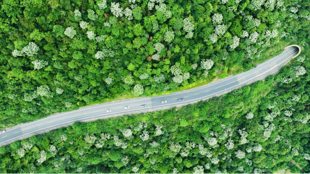 文成“自驾版”手绘地图上线！