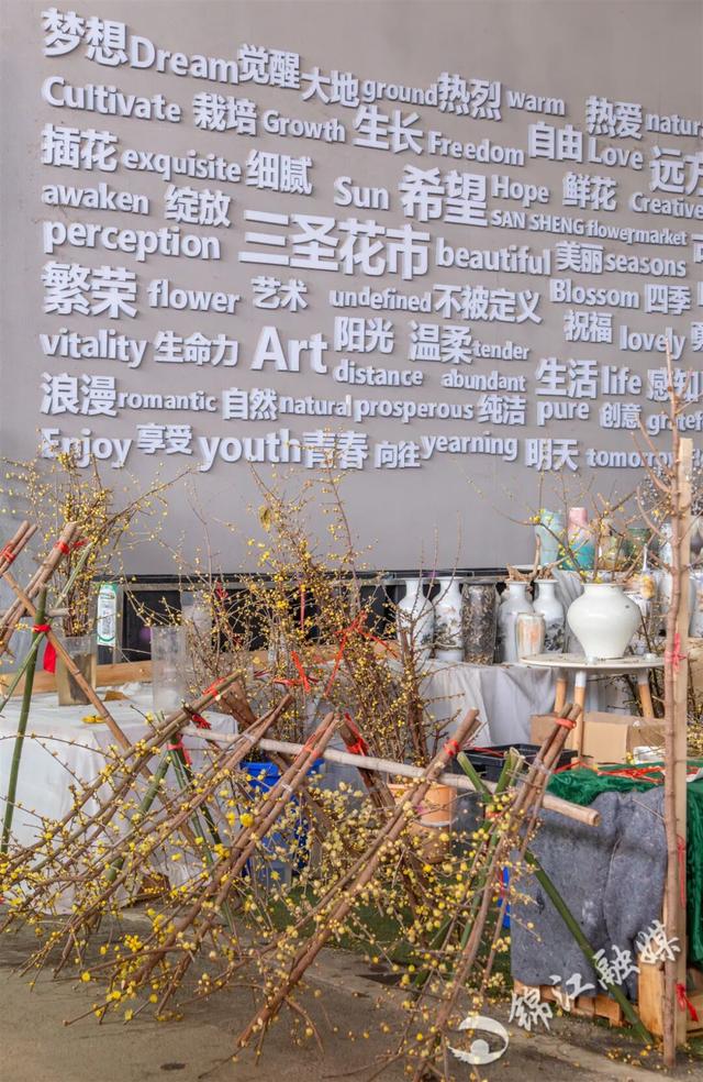 这一波是真香了！