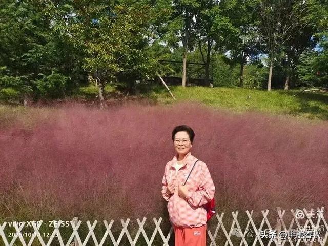 浮山漫记：藏在青岛城央的自然诗篇｜申艳娟