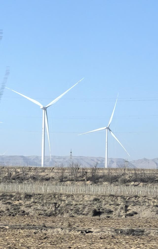 初冬沙波头：一场与天地共舞的温柔绮梦