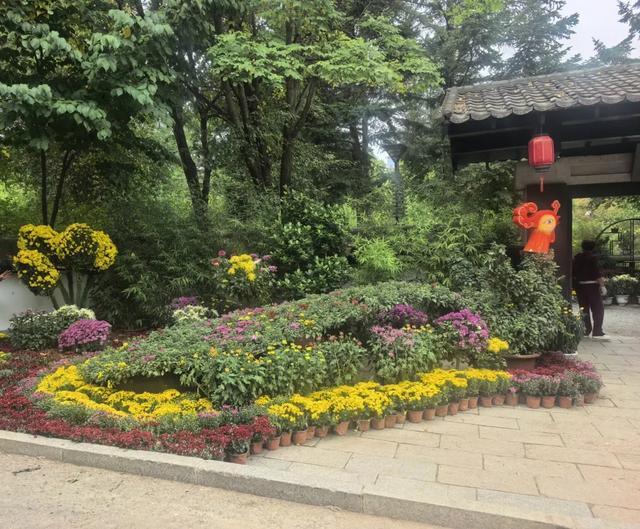 长春市动植物公园上新