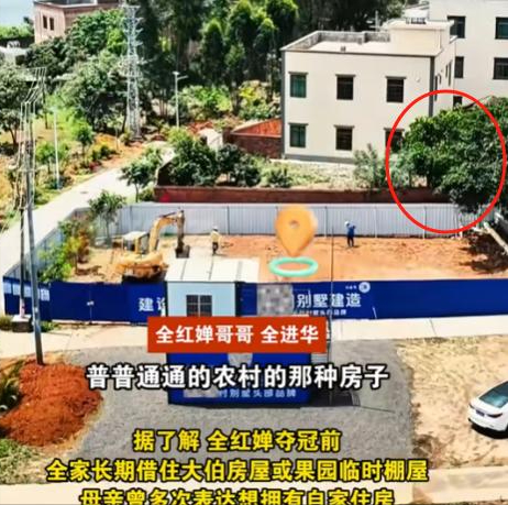 全红婵家建房再受阻后续！越界大树“挡路”不让砍，邻居终于妥协