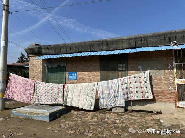 冠县乡韵·兰沃乡大柳邵村