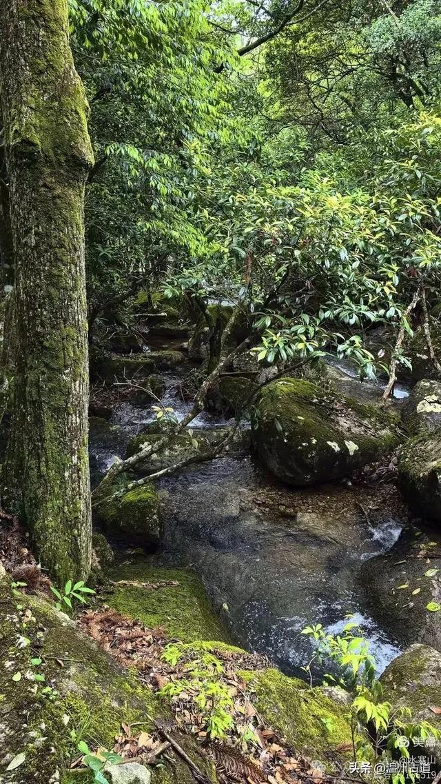 真正的小众避暑胜地！这方秘藏于千米高山之上的清凉秘境等你来！