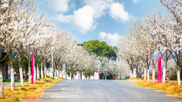 看不完，根本看不完！