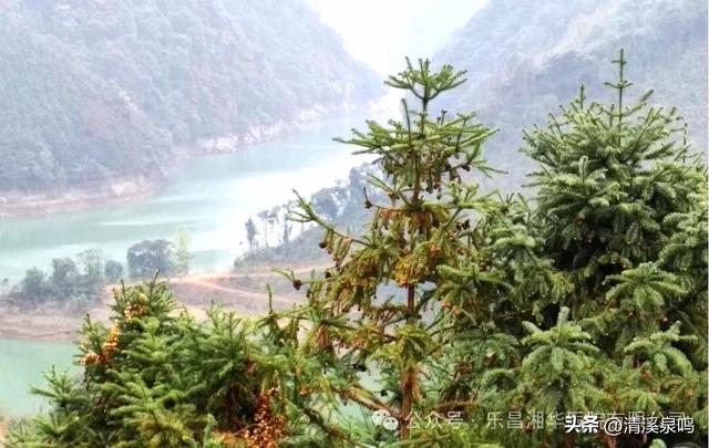 乐昌乡镇山水诗行