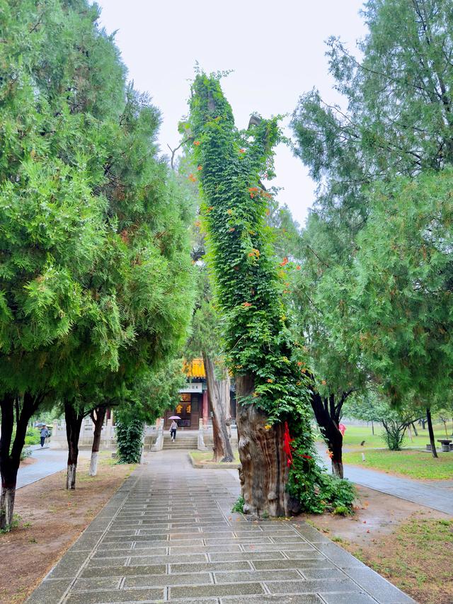 雨中西岳庙（渭南华阴市西岳庙）