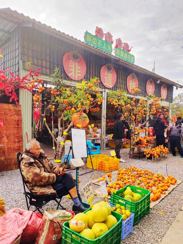 桂林：不入柿园，怎知秋色几许！