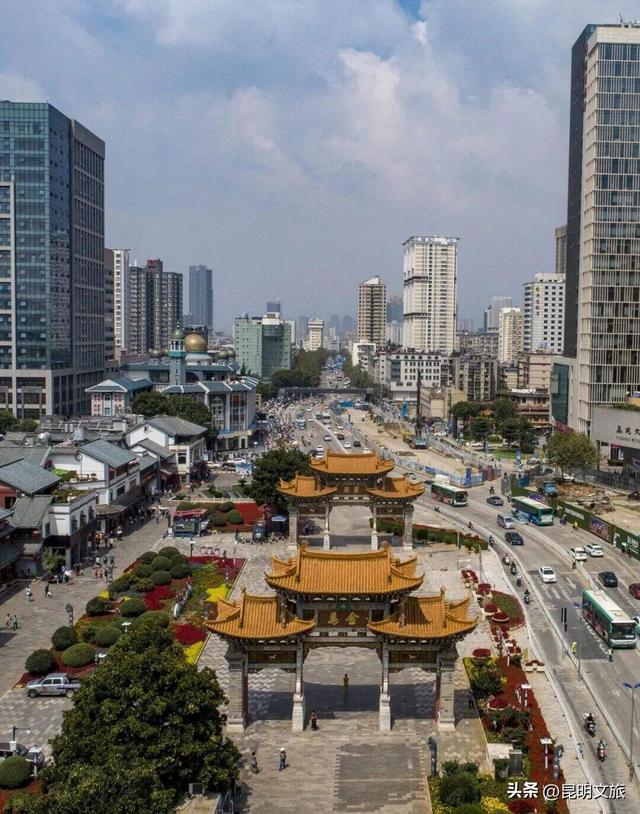 西山赏杏观鸥全攻略！40载人鸥情缘！3+8+N玩法承包冬日浪漫