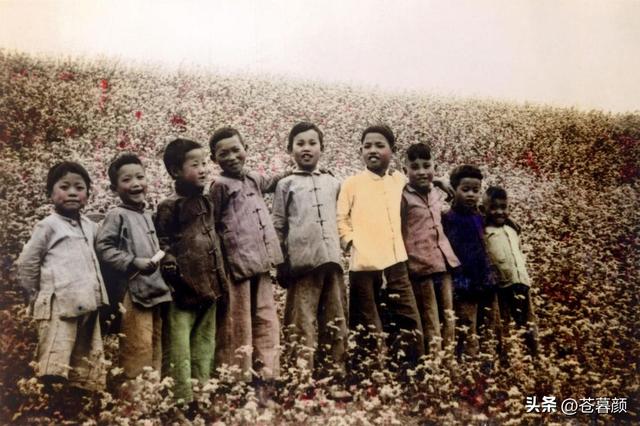 中国将迎来前所未有的死亡高峰，专家得出答案：是这些因素导致的