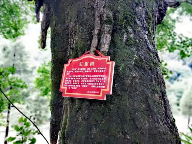武当山是红色的
