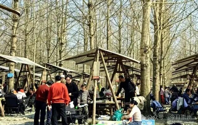 人从众！春节“进度条”过半，崇州各大景区人气爆表！