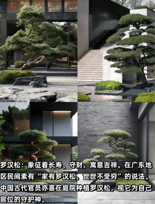 “富不富，院中树”树不是乱种的！院子种树记住三要四不要！