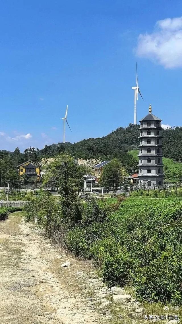 这个有“台州天山”之称的地方,夏纳凉风冬迎雪,露营绝佳!