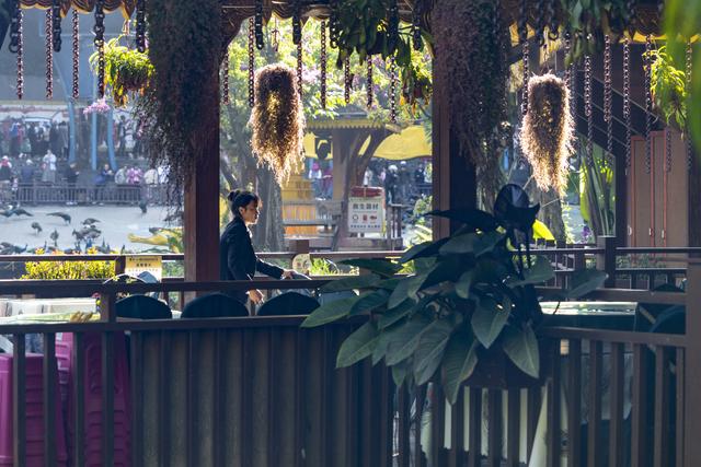 云南景洪：最大的综合性生态旅游景点