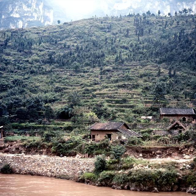 不尽长江滚滚流 1987年