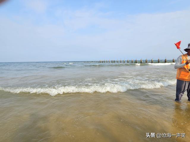 滨海森林公园，有海水相伴，有绿树成荫，有欢乐海洋，有积溪成浪