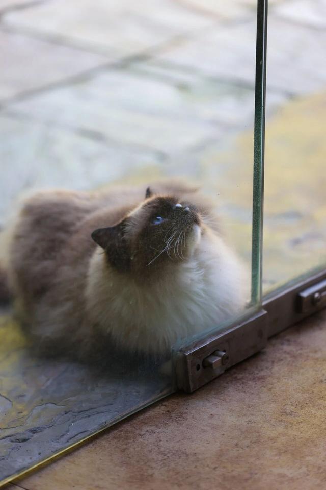 观复猫带你画·中华最有名 | 观音泉