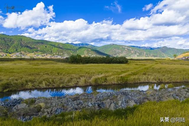 泸沽湖草海差点把我看吐了，到处是油画般的场景，能不能别这么美