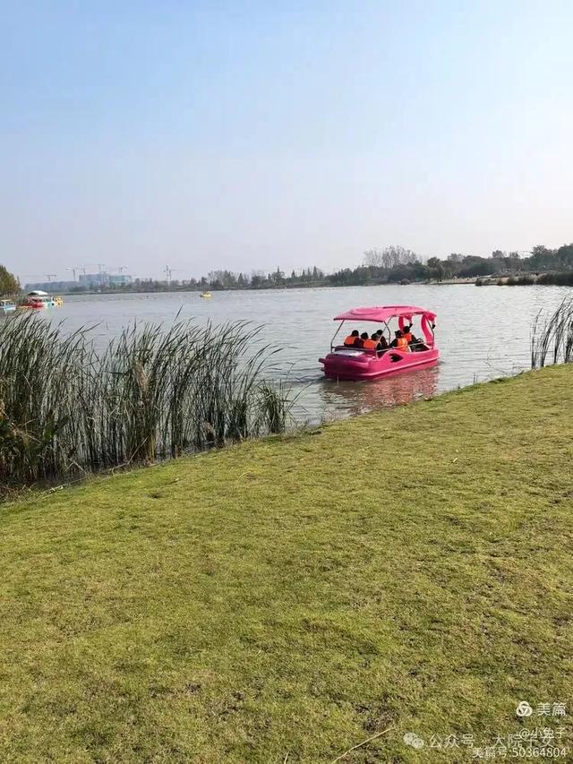 黎如芷｜秋意沐芳华，姐妹携手同行