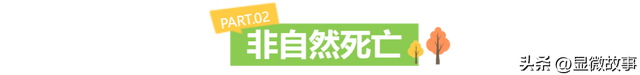 当Zoo Walk成为都市爆款 ，当代年轻人从“萌物”中寻求疗愈