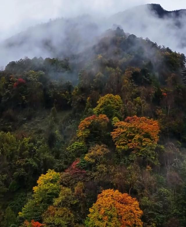 雾锁摩天岭：山与云的共生诗