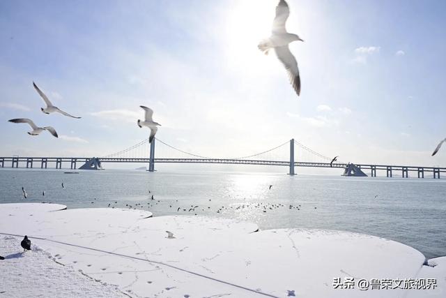 雪落大连，一场山海的冬日盛宴