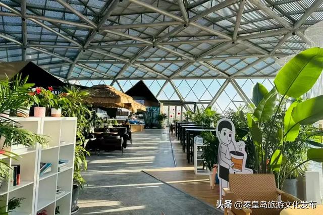 消费潜能激发:北戴河新区小众经济成增长引擎