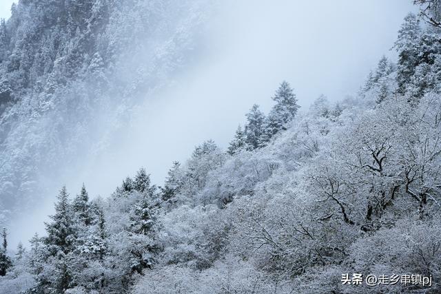 深秋走进理小路