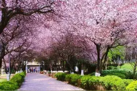 我和我的帅气老师男朋友图片