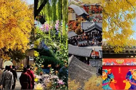 河南开封清明上河园：60周岁以上（含60周岁）重阳节免费游园！赏菊展！看演出！赏花灯！图片