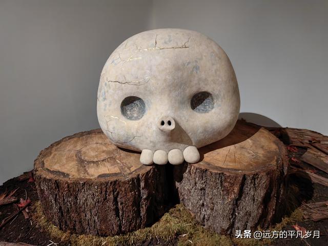 温哥华游记（二）