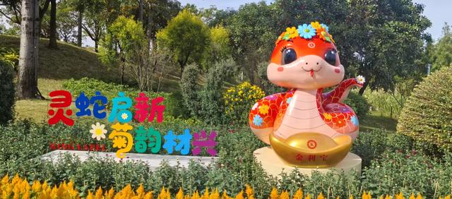 伟人故里 盛世繁华：左丹红博士心中的中山小榄百年菊会