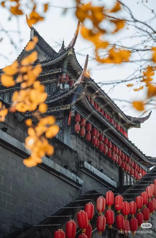 旅游新宠！成都最快1h可达的10个川内宝藏县城，景色封神！好吃好耍！你最想去哪个？