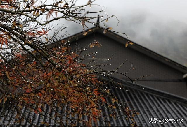 今日中元节，老人说最怕“中元节一日雨”，中元节下雨有啥预兆？