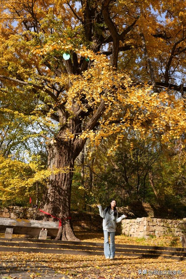 【乐游烟台】烟台绝美赏秋地即将封山，别错过