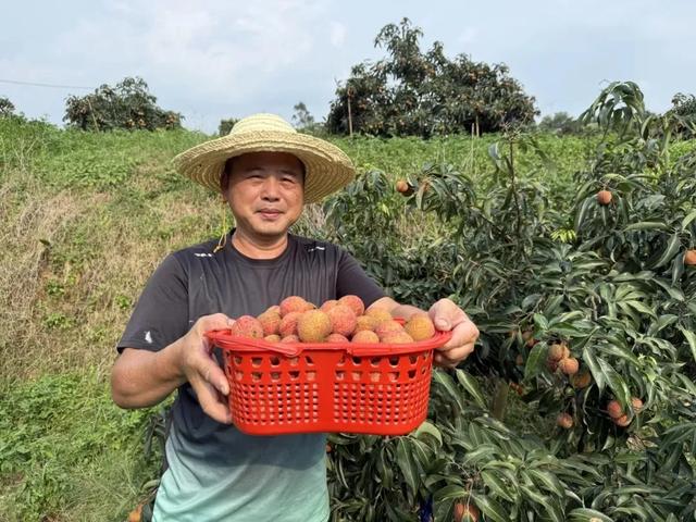 葡萄、荔枝、西瓜、莲雾……厦门夏日采摘上新啦！