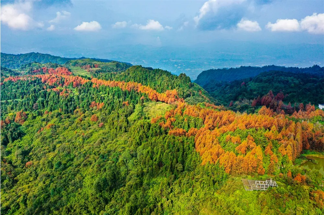 秋天还没过够？那就去乐山留住秋天！
