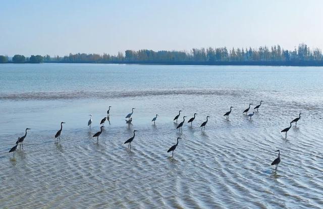 听劝，冬天在开封，还能这样玩！