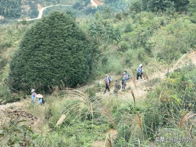 永定奥杳梯田穿越九十九岽徒步
