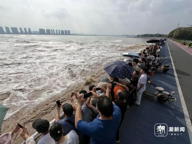 太震撼！农历八月十七，钱塘江畔上演年度“追潮”大片，有人提前2小时抢好位