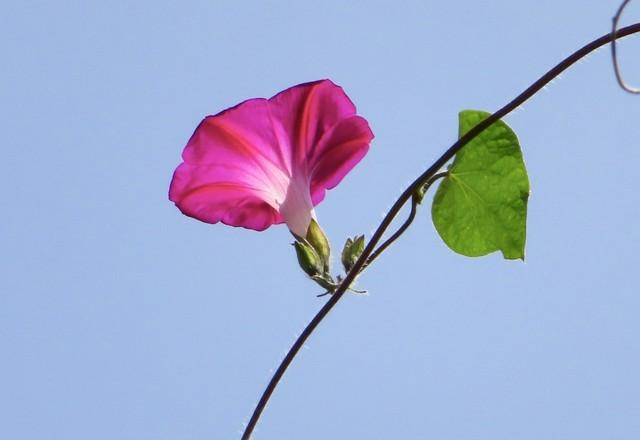 60岁阿姨直言不讳：两性关系中，女人最渴望的不是钱，而是这4样